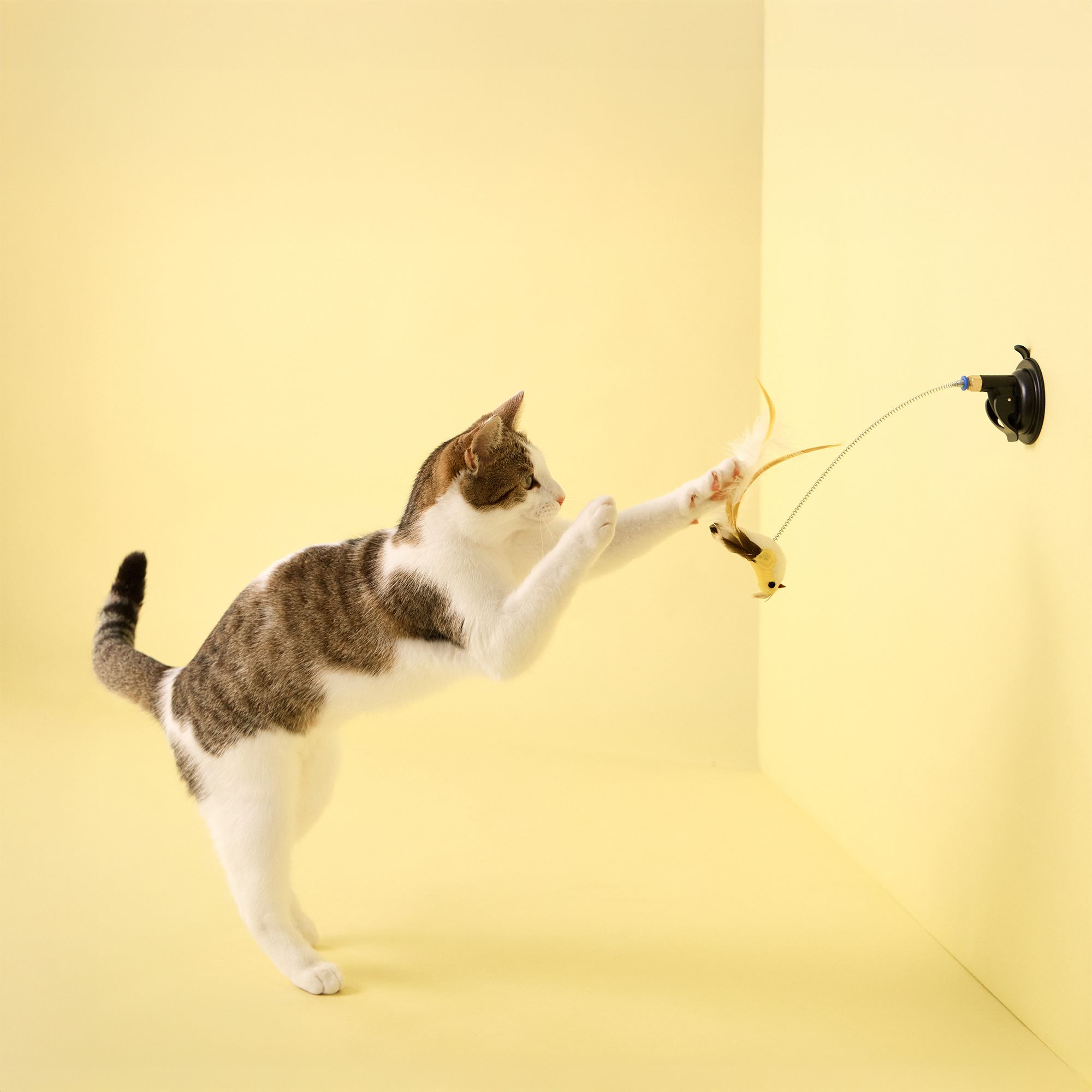 Playology Suction Cup Spring Bird Cat Toy - thumbnail 3