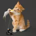 Playology Suction Cup Spring Bird Cat Toy image thumbnail 5