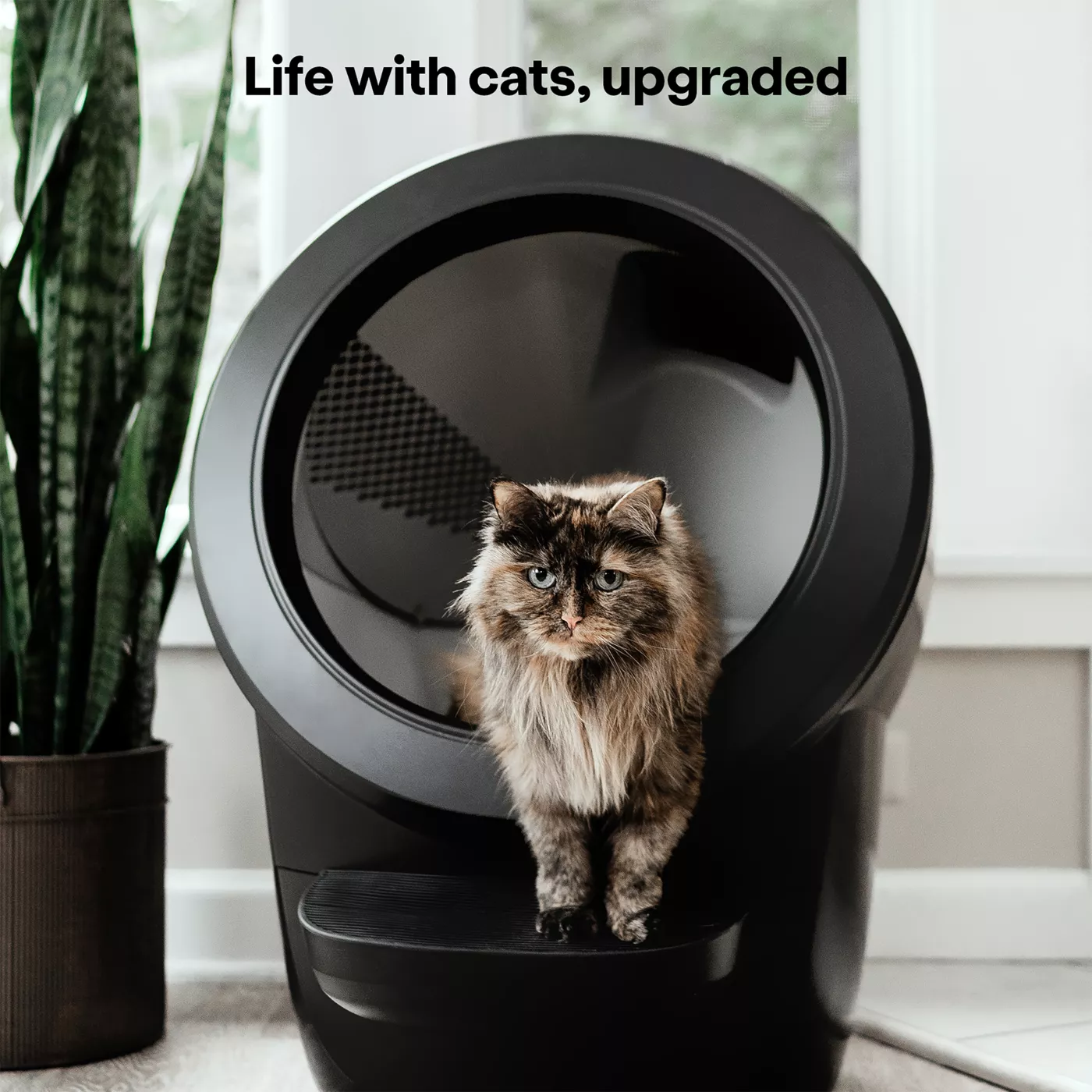 Litter Robot 4 Core Accessories Bundle by Whisker