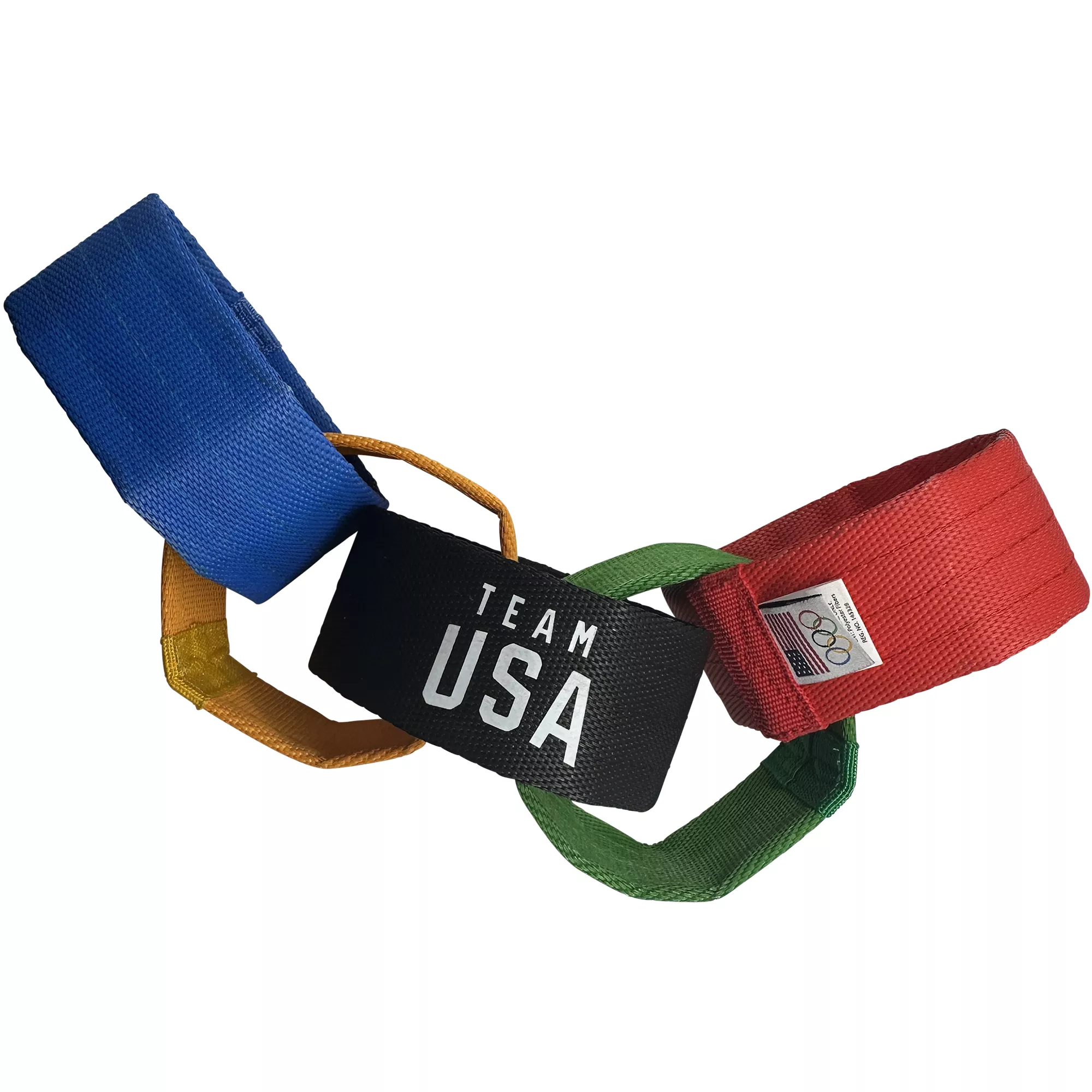 Team USA Olympic Rings