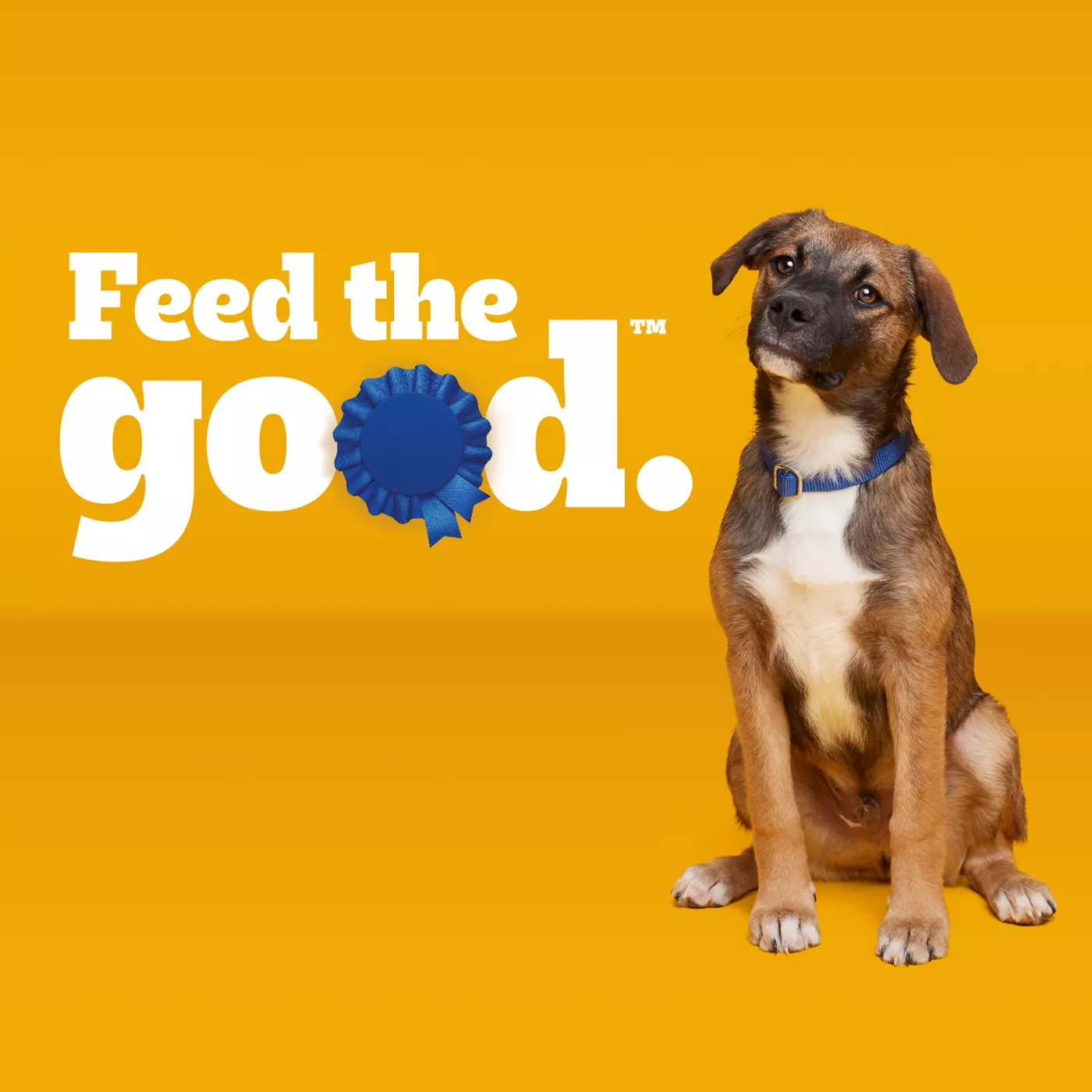 Pedigree Puppy Ground Morsels Beef 3.5 OZ