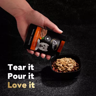 Cesar dog food pouches hotsell