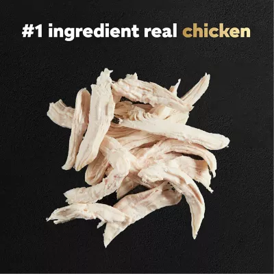 Product CESAR Filets in Gravy Wet Dog Food Rotisserie Chicken Flavor, 1.76 oz. Mini-Pouch