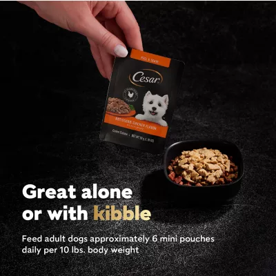 Cesar dog food petsmart sale