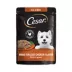 CESAR Filets in Gravy Wet Dog Food Wood-Grilled Chicken Flavor, 1.76 oz. Mini-Pouch image thumbnail 1