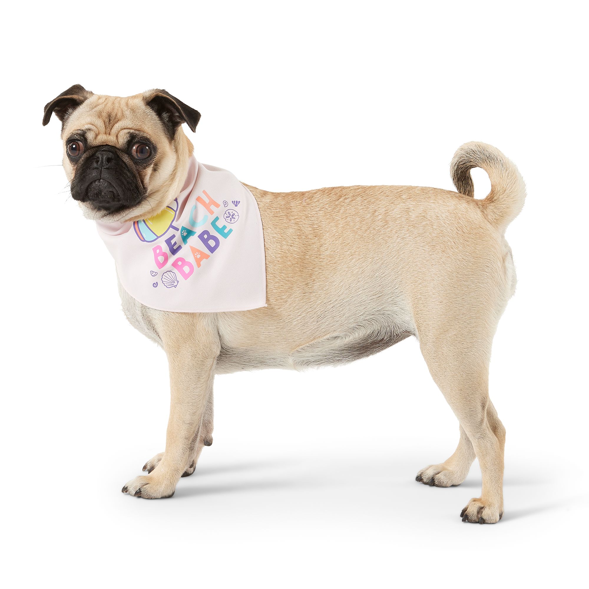 Top Paw® Beach Babe/Fun in the Sun Dog Bandanas 2 CT dog Bandanas, Bows & Hats PetSmart