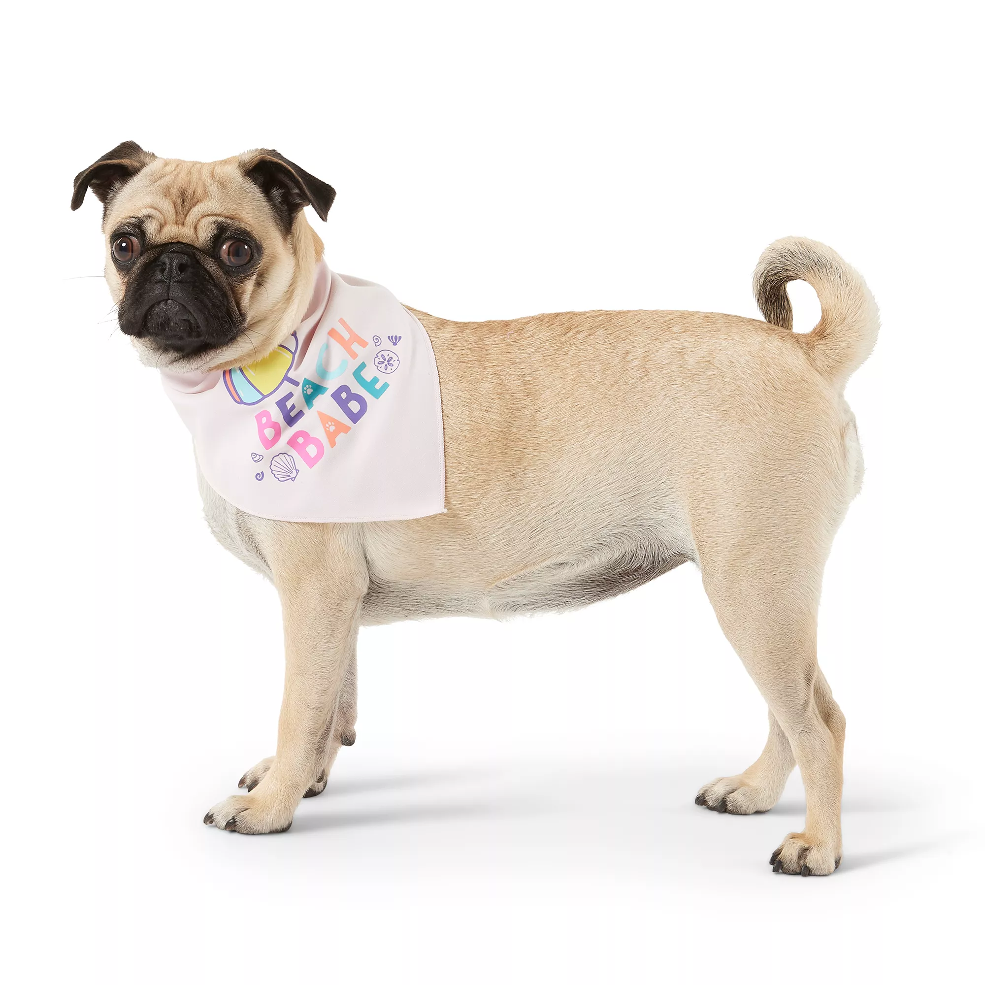  Top Paw® Beach Babe/Fun in the Sun Dog Bandanas 2 CT