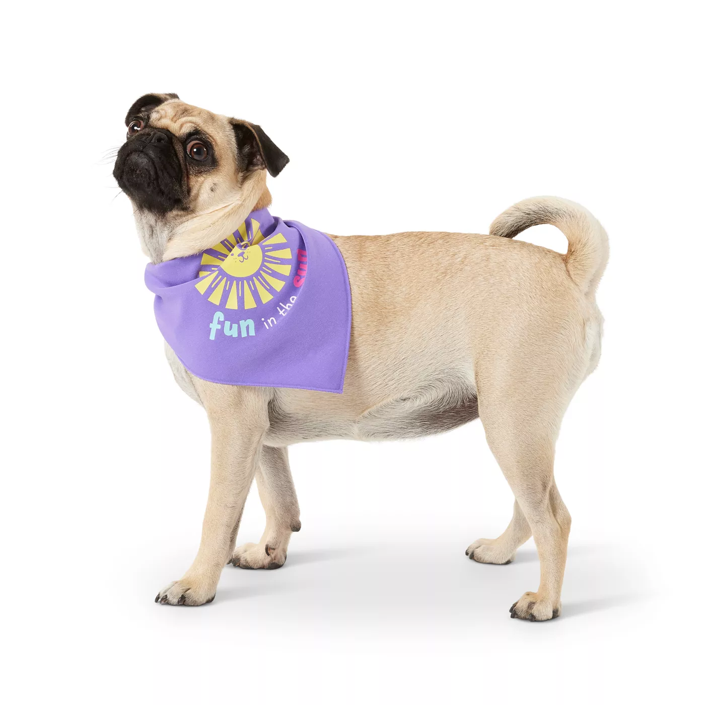 Top Paw Beach Babe Fun in the Sun Dog Bandanas 2 CT