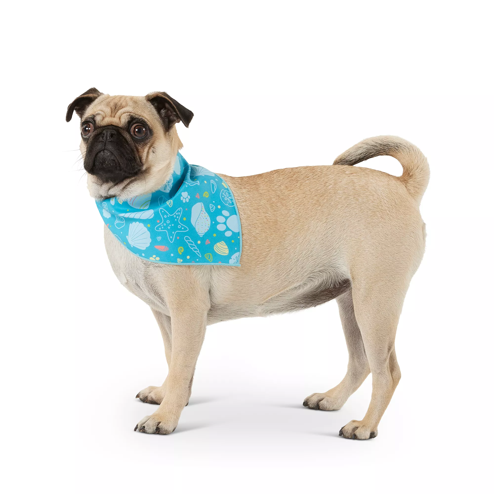 Top Paw® Striped/Shell Dog Bandanas 2 CT