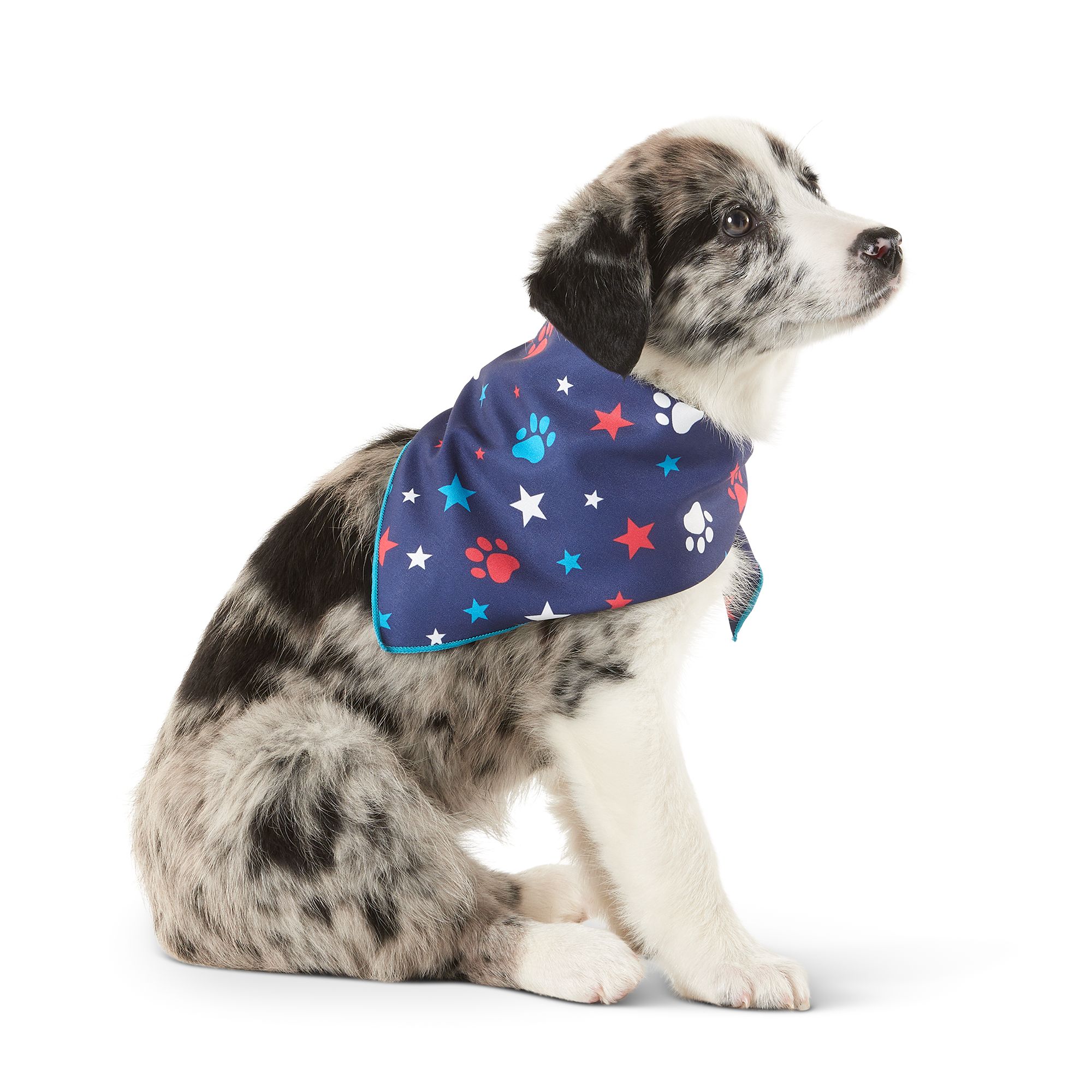 Top Paw Americana Dog Bandanas