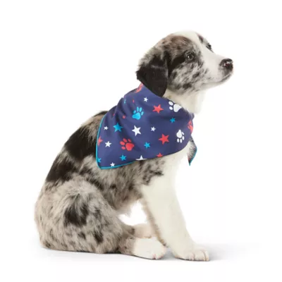 Top Paw Americana Dog Bandanas 2 Count Small PetSmart