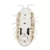 Whisker City® Light-Up Doodlebug Electronic Beetle Cat Toy image thumbnail 2
