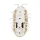 Product Whisker City® Light-Up Doodlebug Electronic Beetle Cat Toy