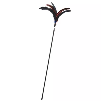Product Whisker City® Twirl Teaser 24 Inches