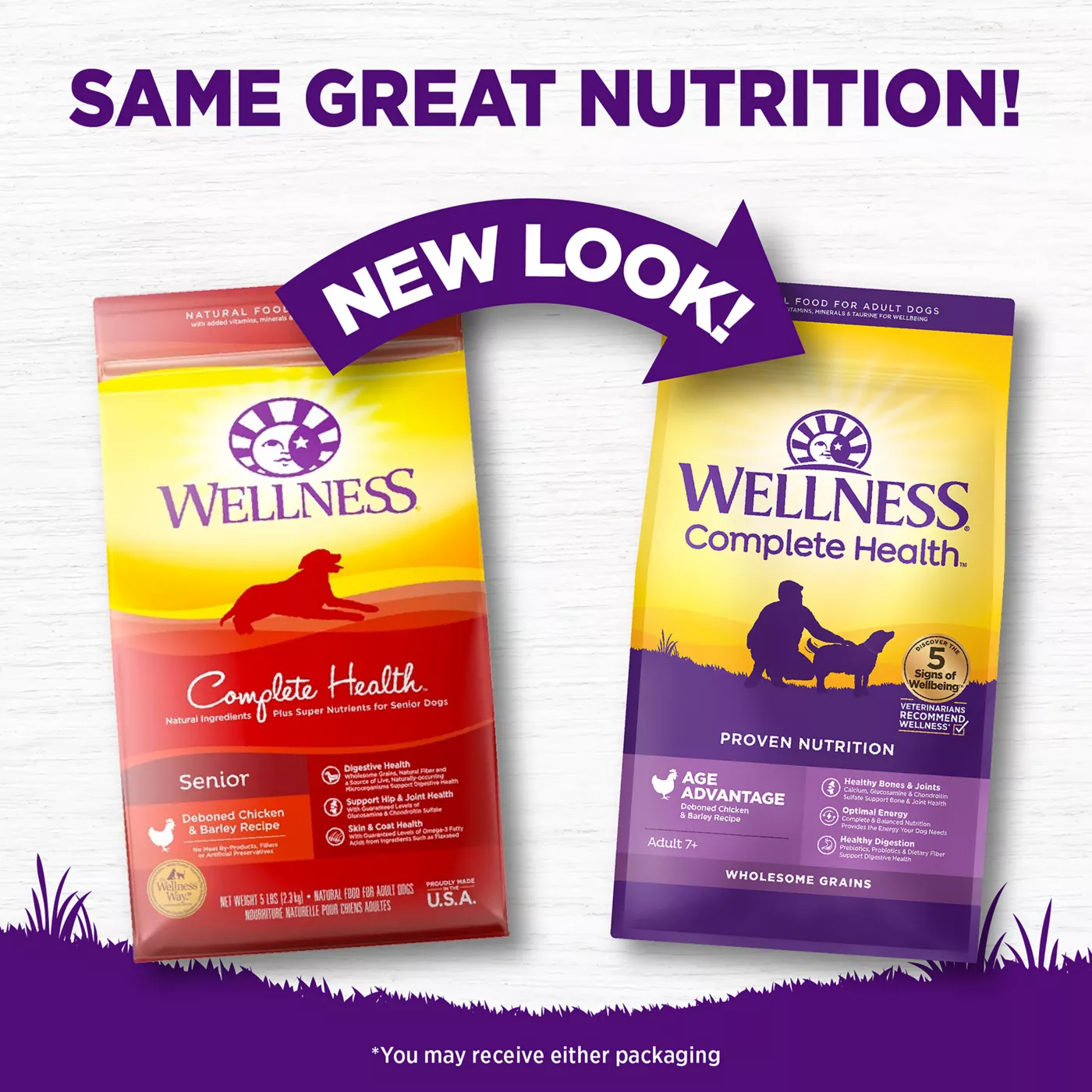 Wellness Complete Health Senior Dry Dog Food Natural Chicken Barley