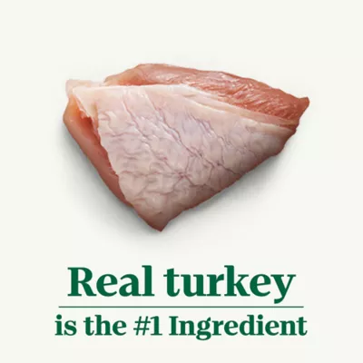 Nutro Natural Choice Cuts in Gravy Adult Wet Dog Food - 3.5 oz - Image 2