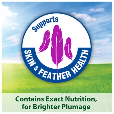 Product KAYTEE® FDPH Feather Parakeet Bird Food