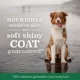 Product Nutro Natural Choice Limited Ingredient Adult Dog Food - Grain Free, Salmon & Lentils Recipe