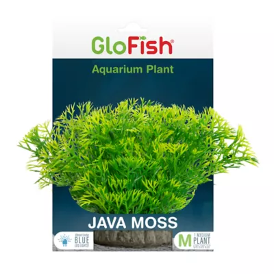 Product GloFish® Java Moss Plant