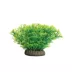 GloFish® Java Moss Plant image thumbnail 1