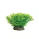 Product GloFish® Java Moss Plant