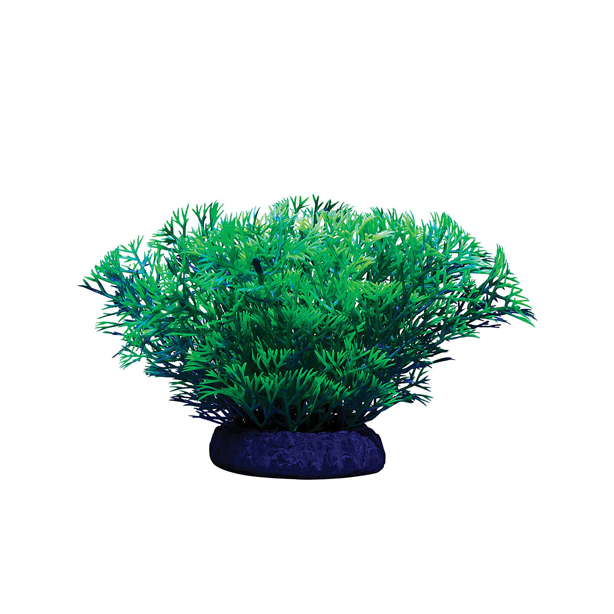 GloFish® Java Moss Plant Colorful Fish Tank Plant Decor - thumbnail 3