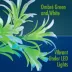 GloFish® Artificial Green & White Leaf Plant image thumbnail 5