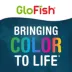 GloFish® Artificial Green & White Leaf Plant image thumbnail 8