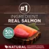 Purina ONE True Instinct Real Salmon & Tuna Adult Dry Dog Food 3.8 lb image thumbnail 4