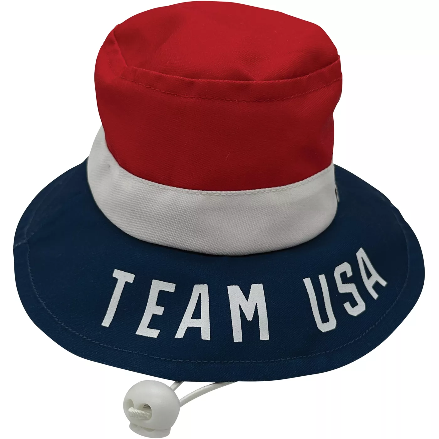 Team USA Dog Hat