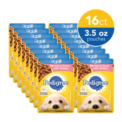 Pedigree puppy can best sale