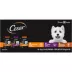 CESAR Filets in Gravy Wet Dog Food Variety Pack Mini-Pouch 40 Count image thumbnail 8