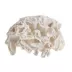 Top Fin® White Coral Aquarium Ornament image thumbnail 1