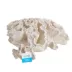 Top Fin® White Coral Aquarium Ornament image thumbnail 4