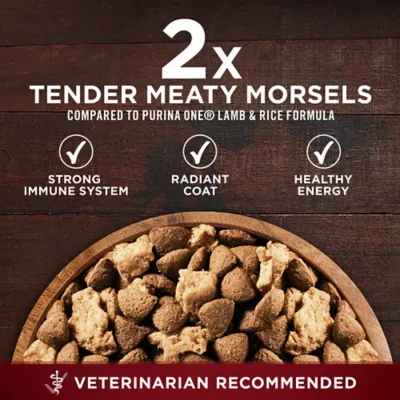 Product Purina ONE True Instinct Lean Muscle Support Real Beef Natural Adult Dry Dog Food 3.8 lbs