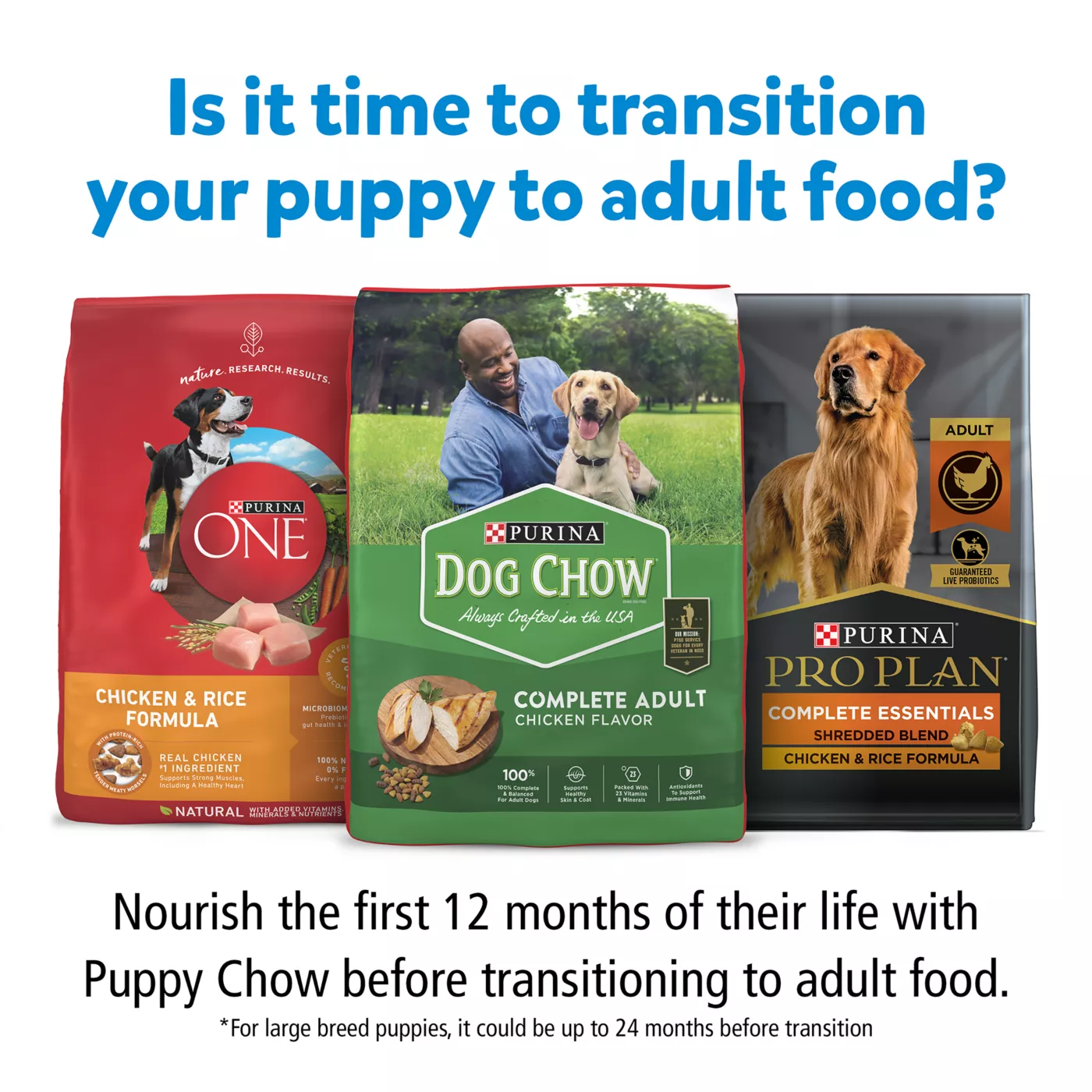 Dry dog food for chow orders chow puppy