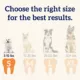 Product Groovies Next Generation Dental Chews Individually Wrapped - Small