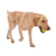 Product West Paw Zogoflex Green Jive Dog Toy - Large