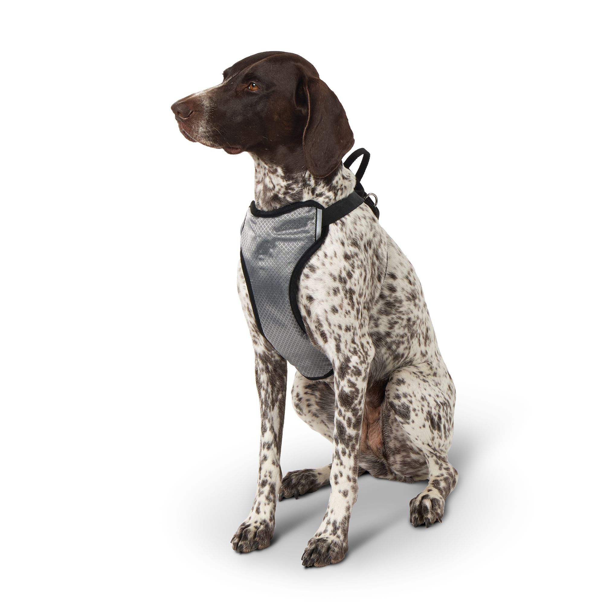 Petsmart comfort harness best sale