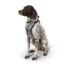 Top Paw® Travel Harness image thumbnail 1