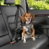 Top Paw® Travel Harness image thumbnail 3
