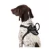 Top Paw® Travel Harness image thumbnail 2