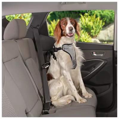 Product Top Paw® Travel Harness