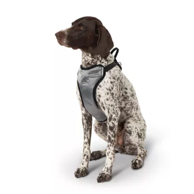 Top Paw® Travel Harness - Image 1