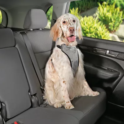 Top Paw® Travel Harness - Image 3