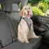 Top Paw® Travel Harness image thumbnail 3