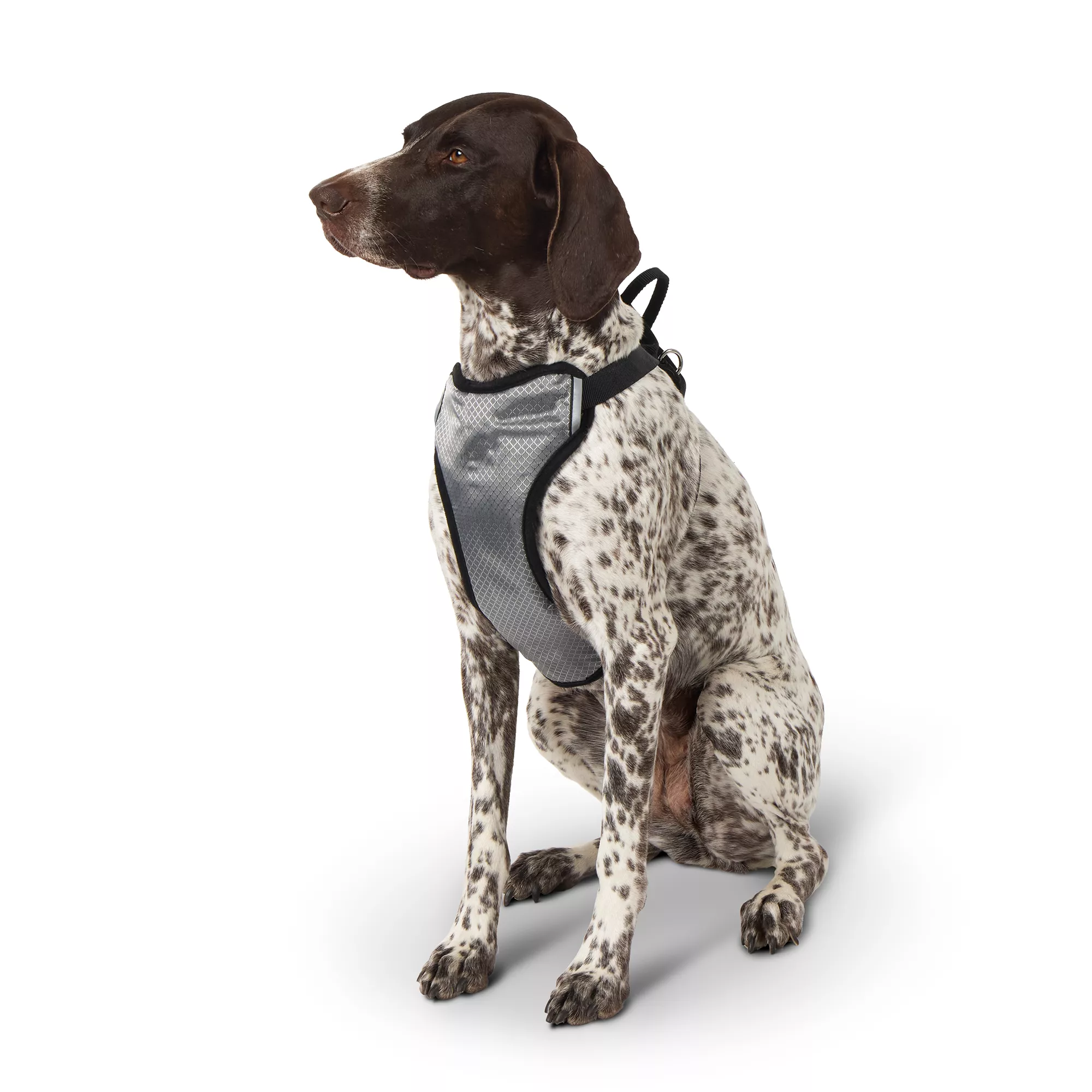 Top Paw Travel Harness