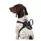 Product Top Paw Travel Harness