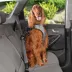 Top Paw® Travel Harness image thumbnail 3