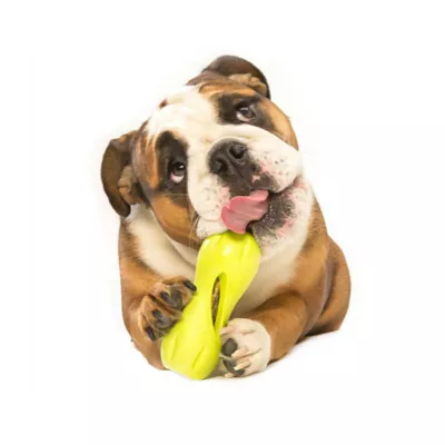 Product West Paw Zogoflex Qwizl Dog Toy